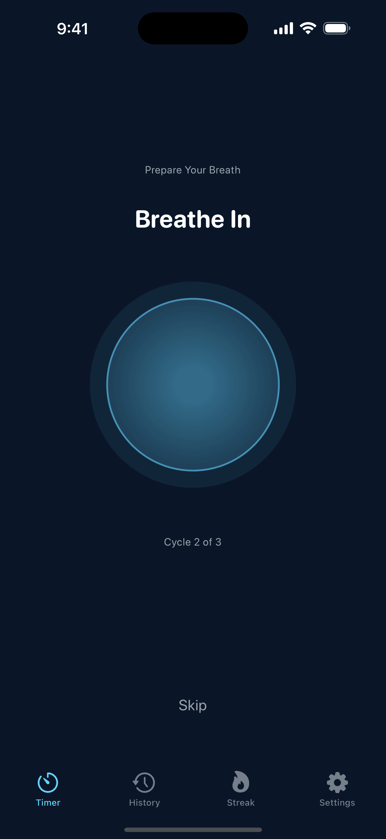 IceDip — Cold Plunge Timer screenshot 1