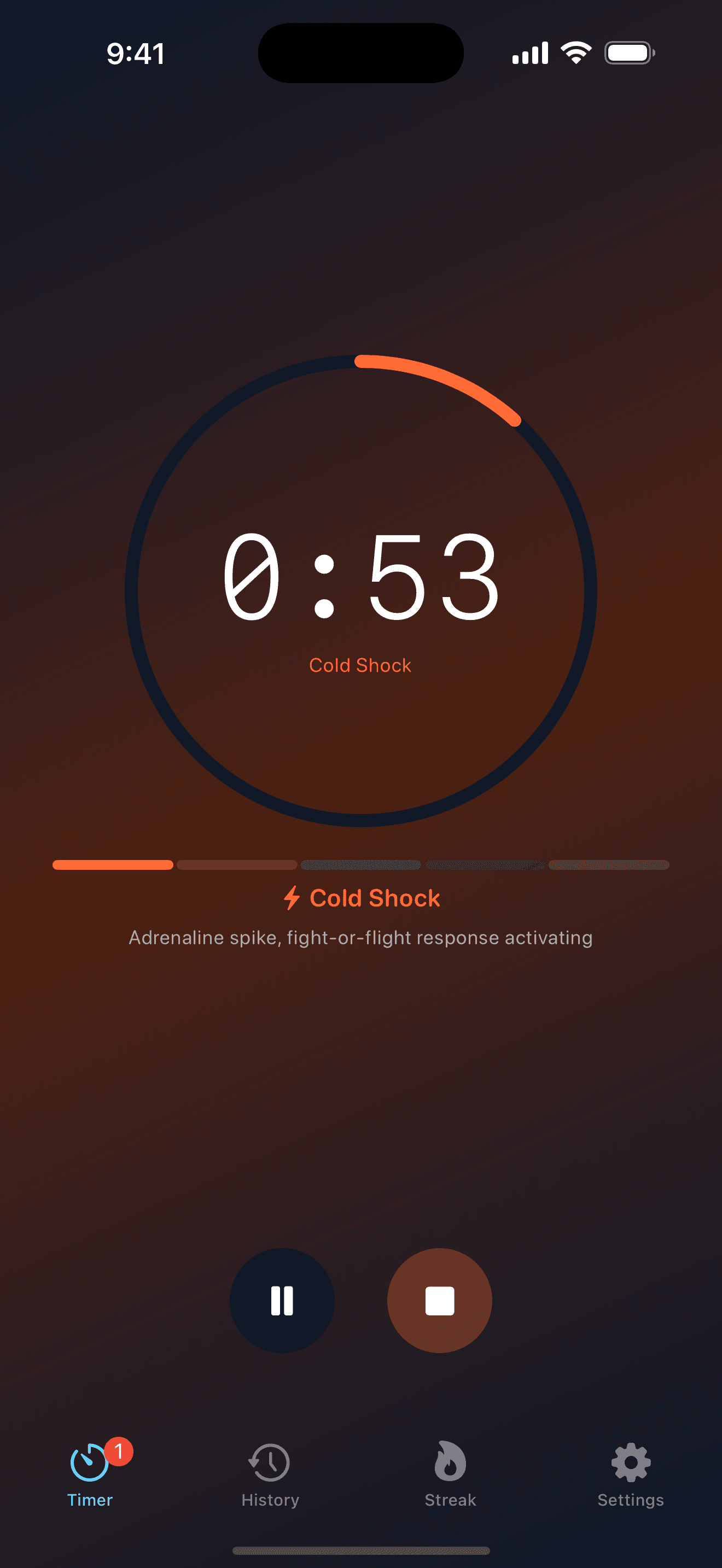 IceDip — Cold Plunge Timer screenshot 2